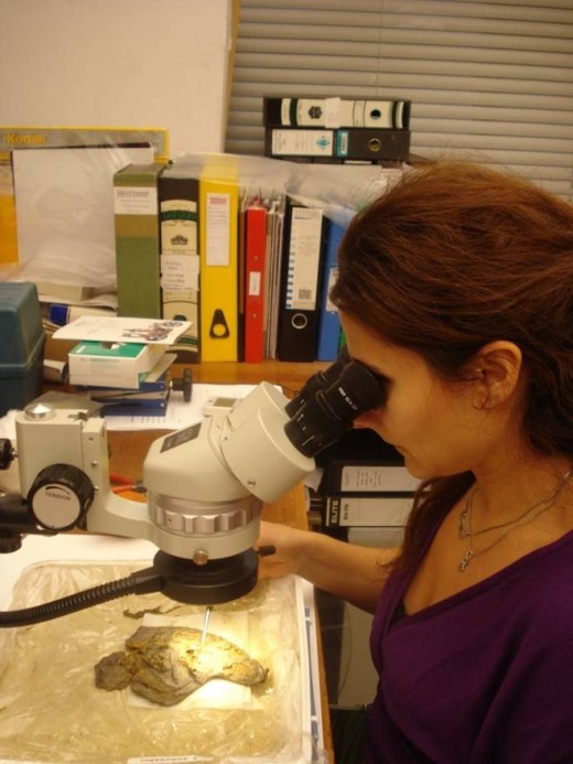 Hallaton Roman Helmet, consolidating the cheek piece under microscope (copyright of the British Museum).